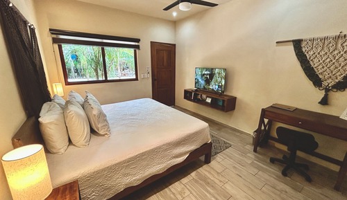Estudio Confort, vistas al jardín
