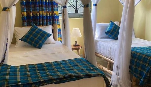Comfort Twin Room