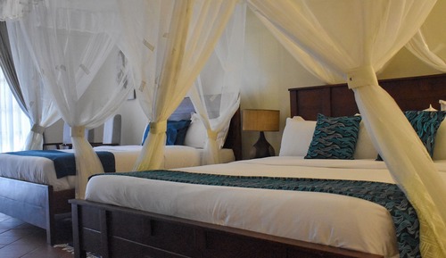 Habitación de lujo con 1 cama doble o 2 individuales, 2 camas de matrimonio, no fumadores