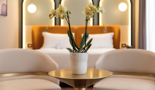 Habitación junior