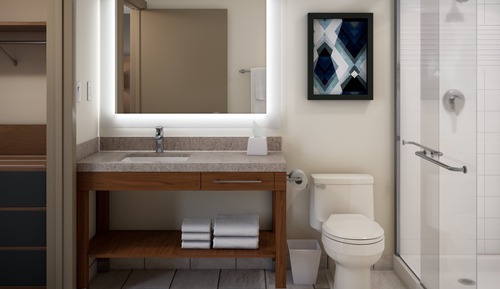 Suite estudio, 1 cama de matrimonio grande, accesible en silla de ruedas (Communications)