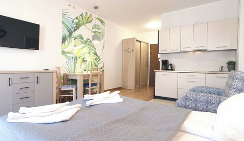 Suite estudio estándar, 1 cama de matrimonio con sofá cama