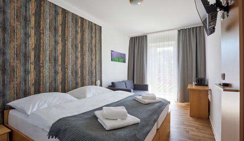 Habitación Confort doble, 1 cama de matrimonio con sofá cama, balcón
