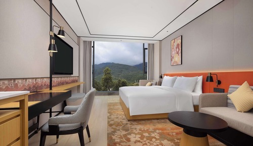 Habitación, 1 cama de matrimonio grande, vistas a la montaña