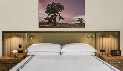 Suite (Palm)