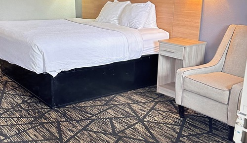 Habitación básica, 1 cama de matrimonio grande