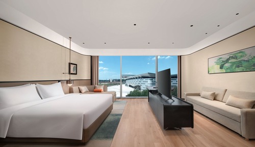 Habitación Premium, 1 cama de matrimonio grande