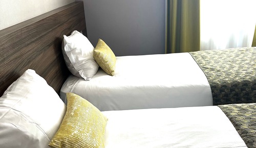 Habitación estándar con 2 camas individuales