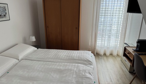 Habitación estándar doble, vistas al lago