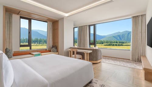 Suite, 1 habitación