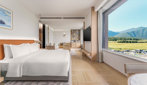 Suite, 1 cama de matrimonio grande