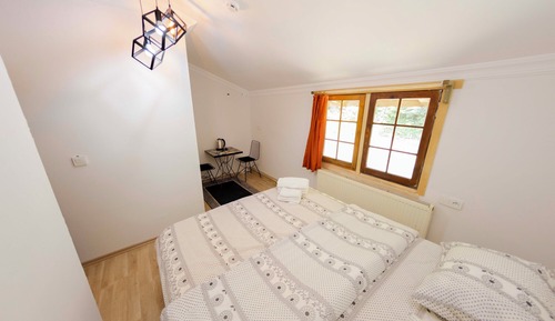 Habitación básica, vistas al jardín