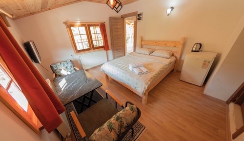 Habitación básica, vistas al jardín