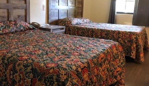 Habitación Deluxe con 2 camas individuales