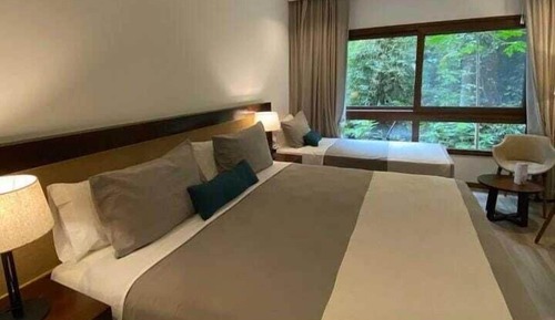 Habitación estándar doble, vistas al parque