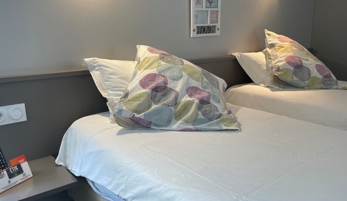 Habitación clásica con 2 camas individuales, vistas a la ciudad