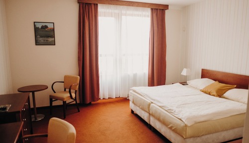 Habitación Confort con 1 cama doble o 2 individuales, vistas al jardín