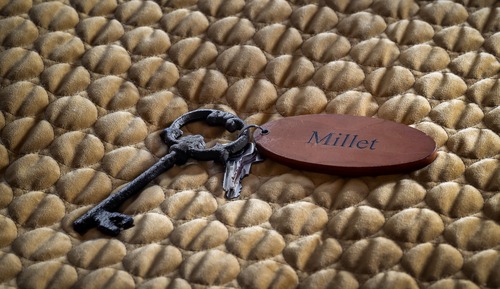 Habitación estándar doble, baño privado (Millet)