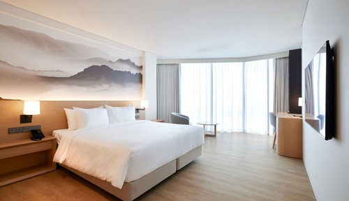 Habitación Deluxe, 1 cama de matrimonio grande (No View)