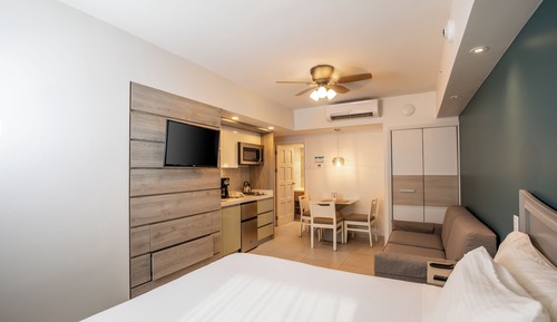 Estudio, 1 cama de matrimonio grande con sofá cama, no fumadores, baño privado