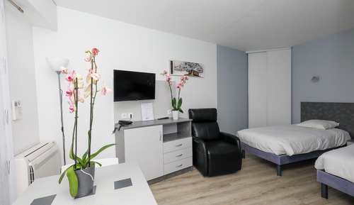 Suite estudio clásica, balcón, vistas al jardín