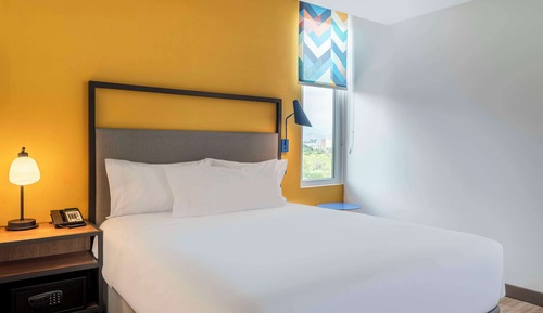 Habitación estándar, 1 cama de matrimonio (Roll-In Shower)