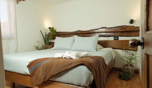 Habitación básica doble, varias camas