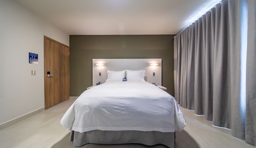 Habitación Premium doble, baño privado, vistas al jardín (One Queen Room 2.04)