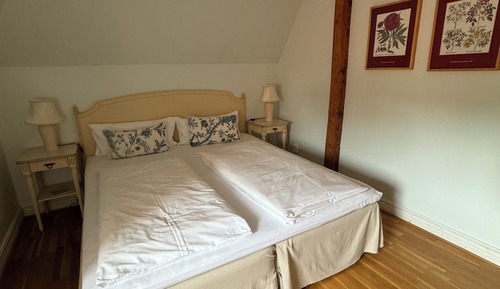 Habitación básica doble, vistas parciales al lago