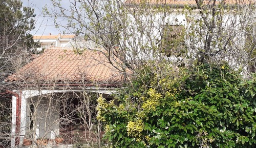 Apartamento (One Bedroom Apartment with Terrace)