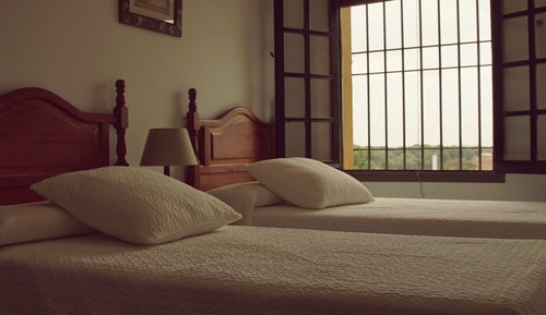 Habitación clásica con 2 camas individuales, vistas al jardín