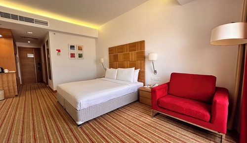 Habitación estándar, 1 cama de matrimonio grande