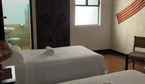 Habitación básica, vistas al jardín