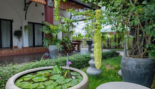 Habitación Premier, 1 cama de matrimonio grande, no fumadores, vistas al patio