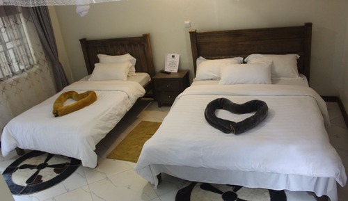 Habitación Deluxe con 2 camas individuales