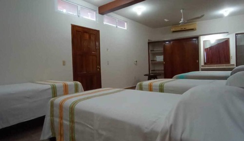 Habitación Elite