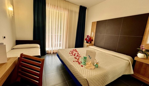 Habitación estándar con 1 cama doble o 2 individuales
