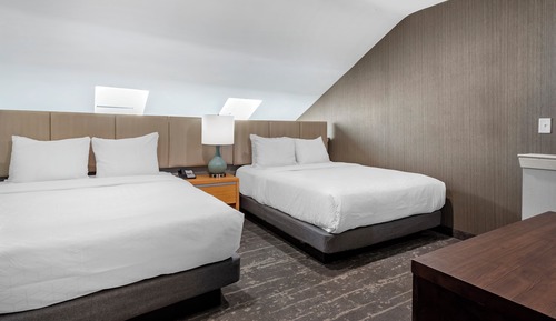 Suite Deluxe, 2 camas de matrimonio, no fumadores