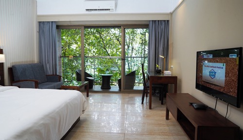 Habitación Deluxe doble, vistas al jardín