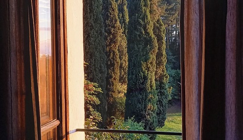 Apartamento, 2 habitaciones, vistas al parque