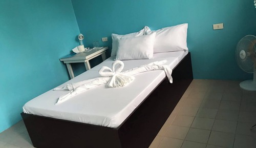 Habitación estándar con 1 cama doble o 2 individuales, vistas al jardín