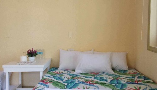 Bungalow Deluxe, vistas al jardín