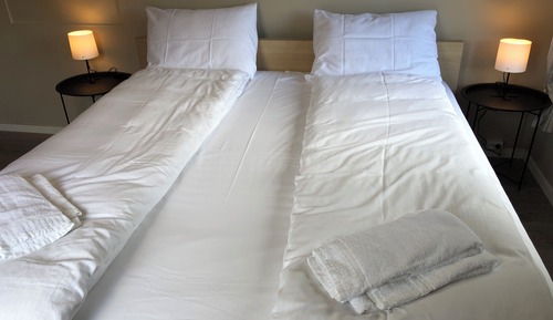 Suite, 1 cama de matrimonio, no fumadores, vistas al lago