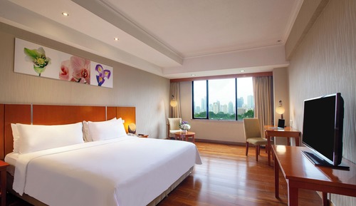 Habitación ejecutiva, vistas a la ciudad