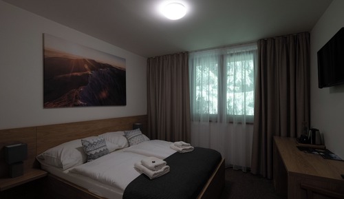 Habitación estándar doble