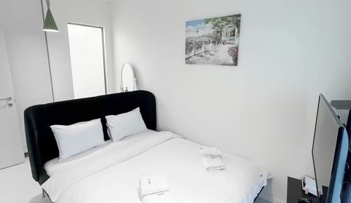 Apartamento junior, 1 habitación, vistas al parque
