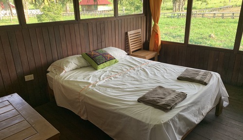 Bungalow básico, vistas al jardín