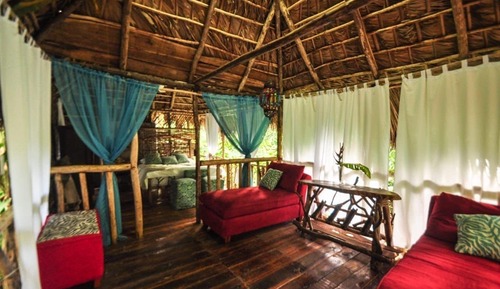 Casa Deluxe en un árbol, vistas al jardín