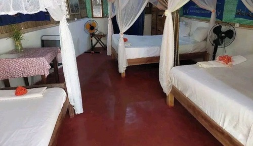 Habitación clásica, 1 habitación