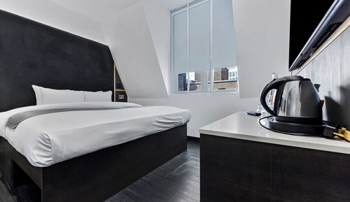 King Room